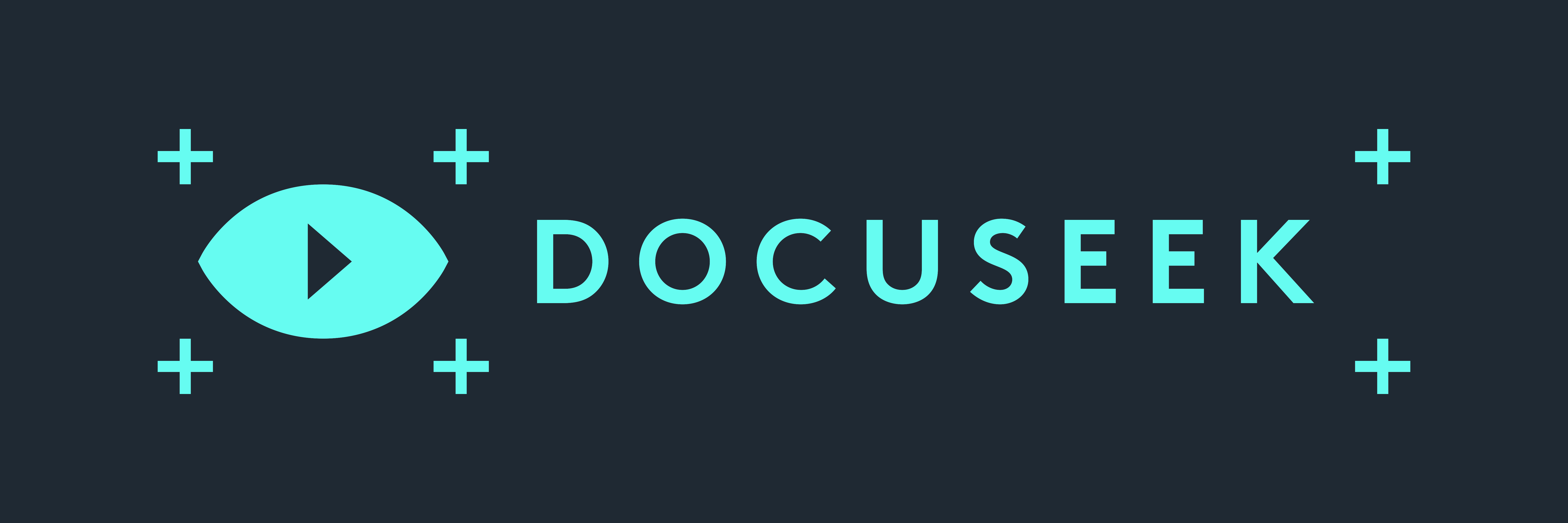 Docuseek logo